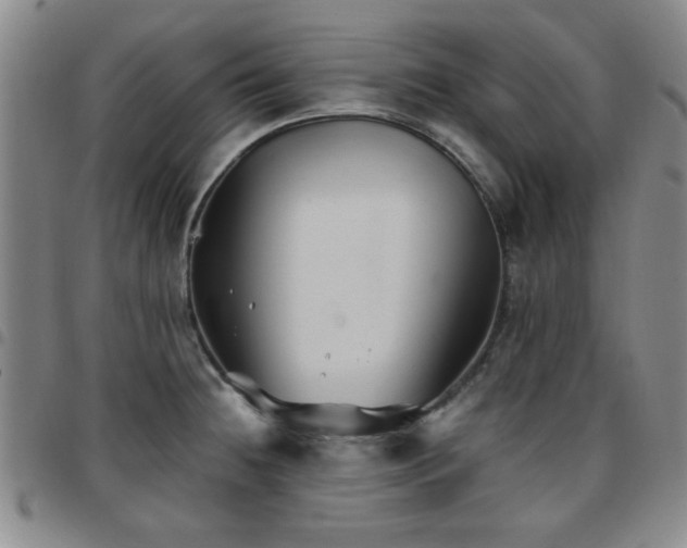 X0000097761236200803141716