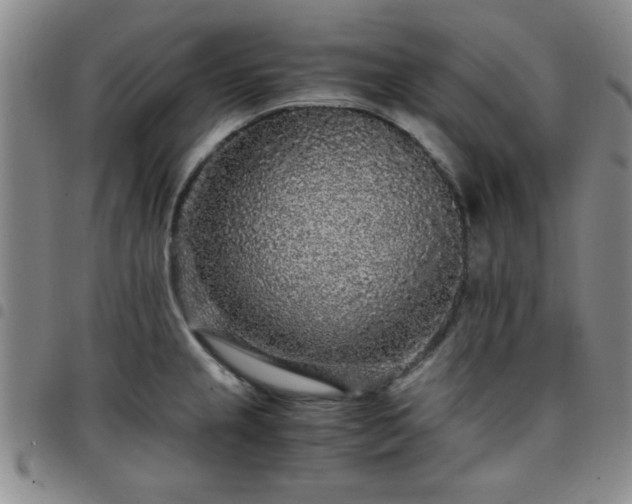 X0000097761237200803141716