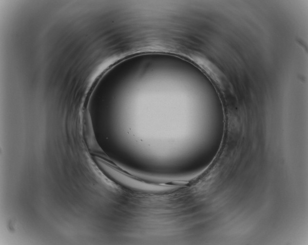 X0000097761238200803141716