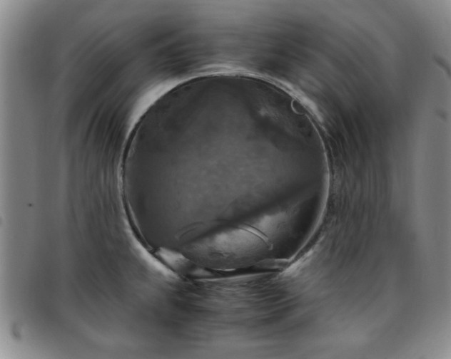 X0000097761239200803141716