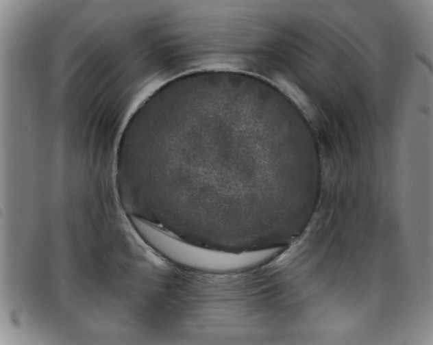 X0000097761240200803141716