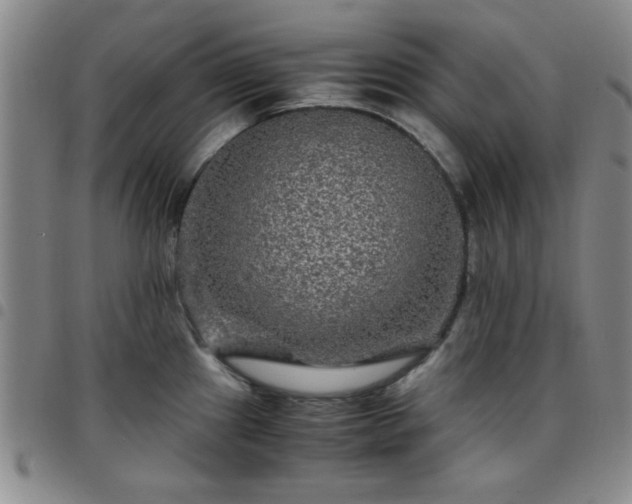 X0000097761241200803141716