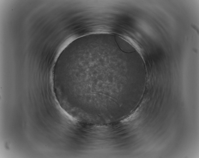 X0000097761243200803141716