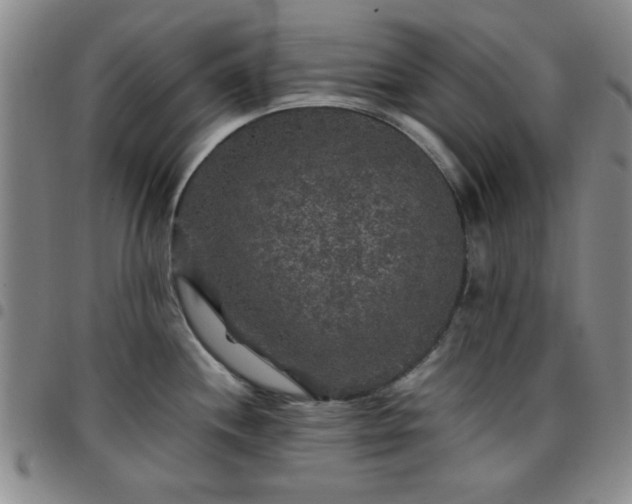 X0000097761244200803141716