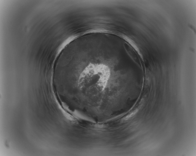 X0000097761245200803141716