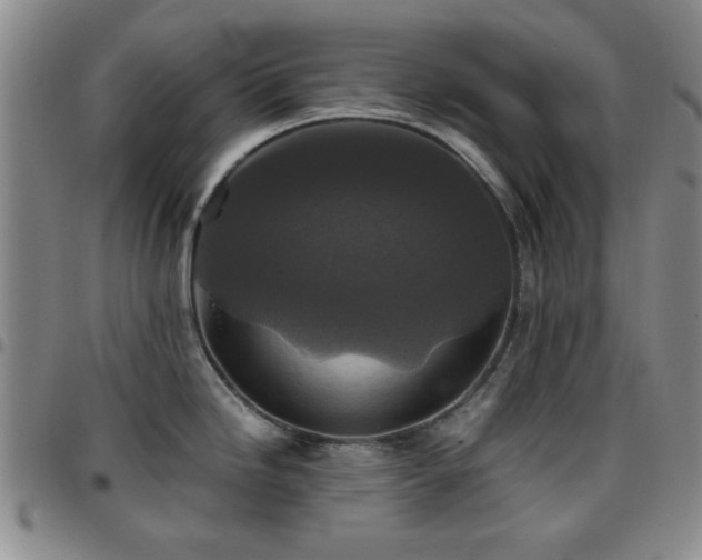 X0000097761246200803141716