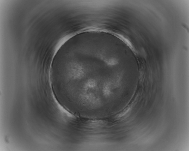 X0000097761247200803141716