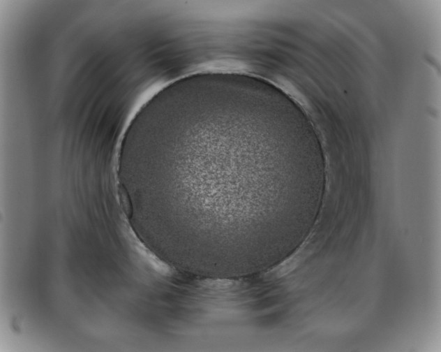 X0000097761248200803141716