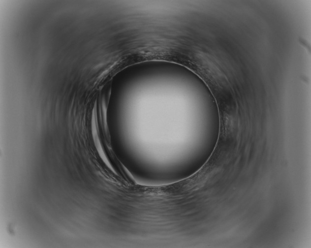 X0000097761250200803141715