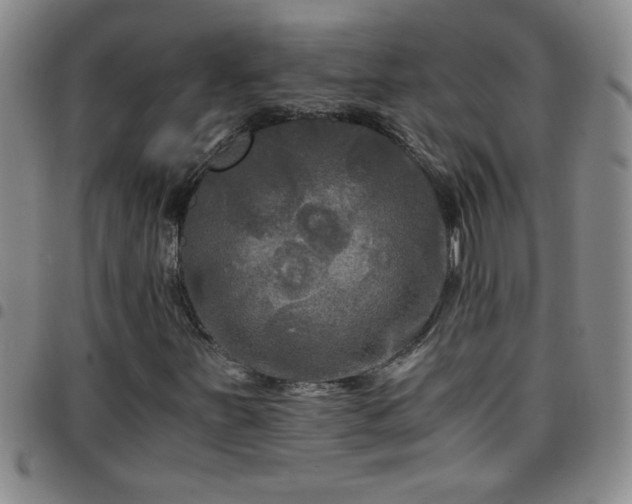 X0000097761251200803141715