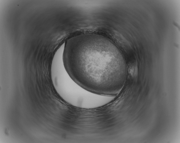 X0000097761252200803141715