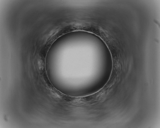 X0000097761253200803141715