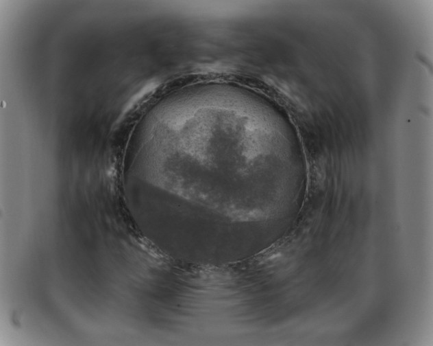 X0000097761254200803141715