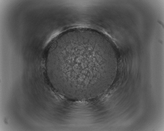 X0000097761255200803141715