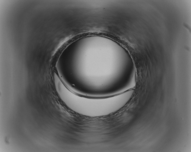 X0000097761256200803141715