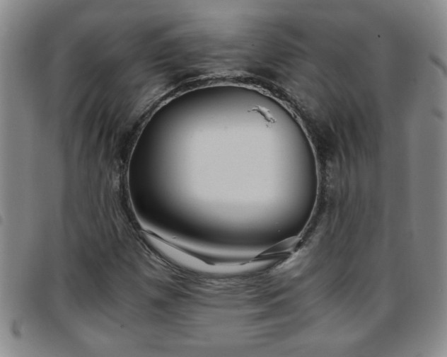 X0000097761257200803141715