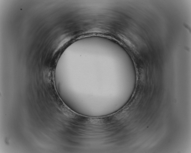 X0000097761258200803141715