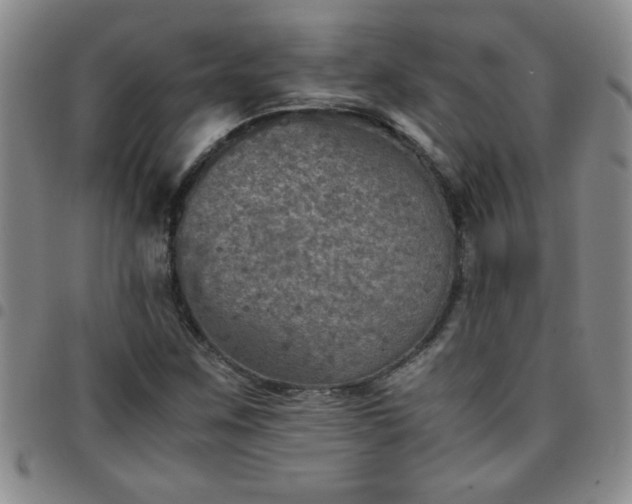 X0000097761259200803141715