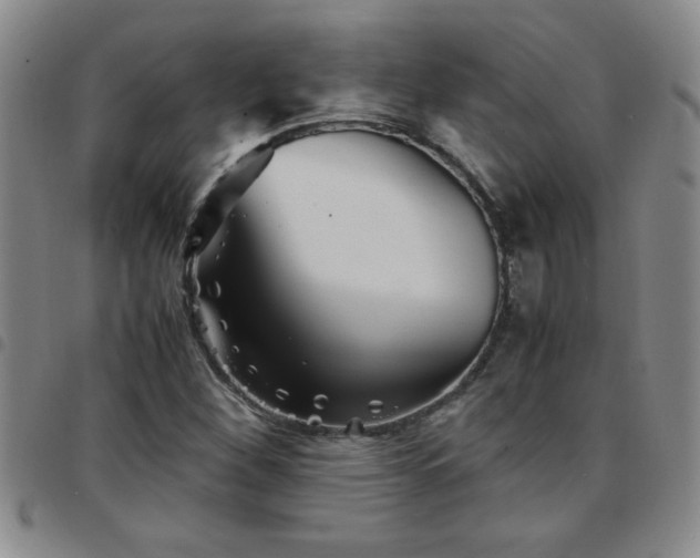 X0000097761260200803141715