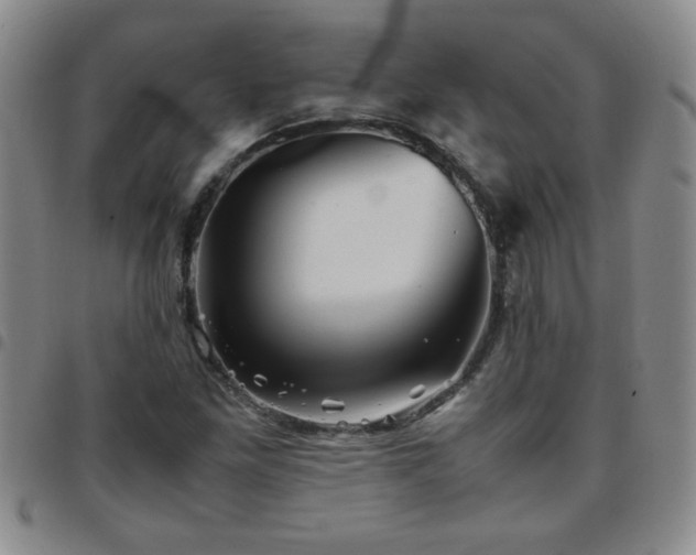 X0000097761261200803141715