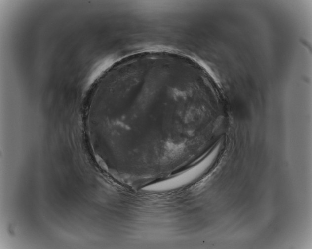 X0000097761263200803141715