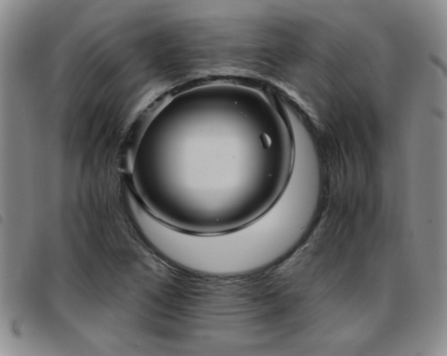 X0000097761266200803141715