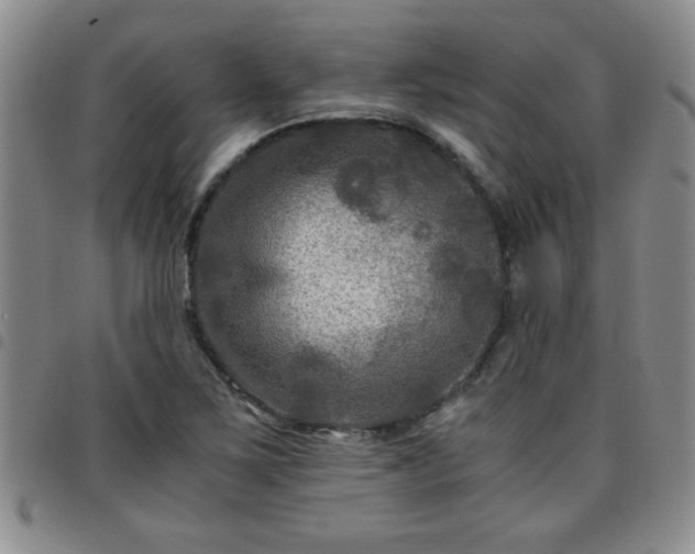 X0000097761267200803141715