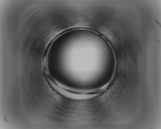 X0000097761268200803141715