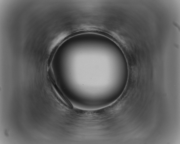 X0000097761269200803141715