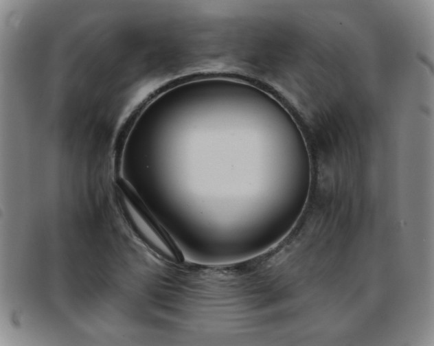 X0000097761270200803141715