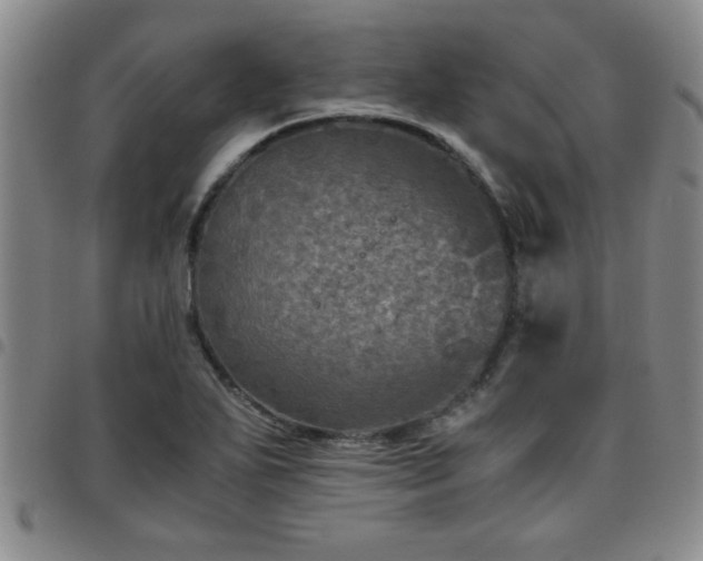 X0000097761271200803141715