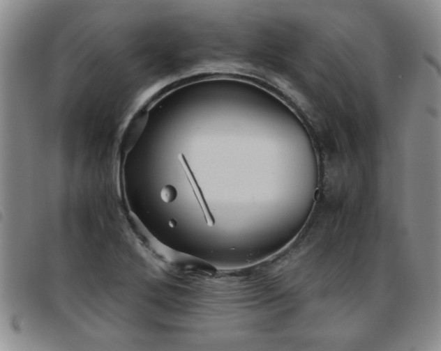 X0000097761272200803141715