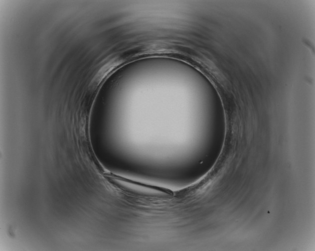 X0000097761273200803141715