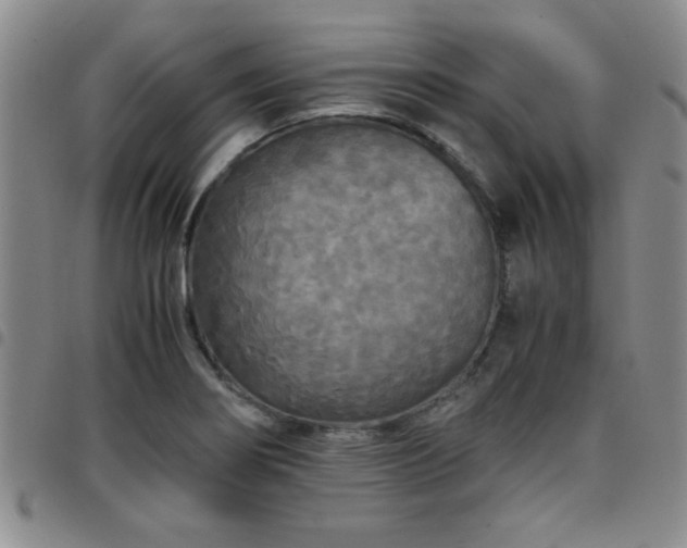 X0000097761274200803141715