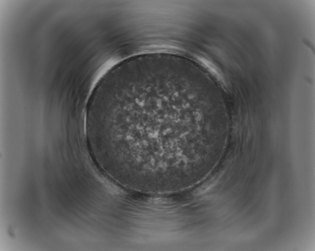 X0000097761275200803141715