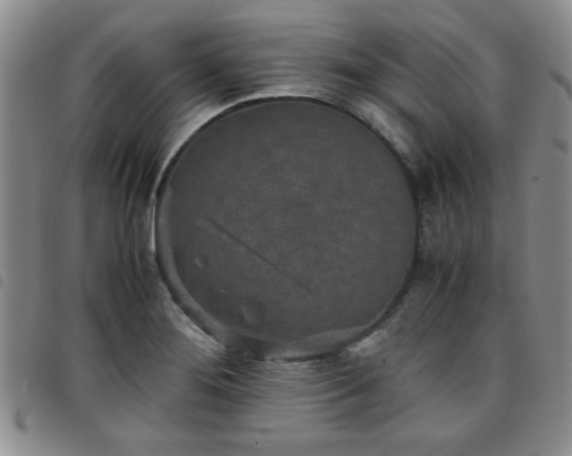 X0000097761276200803141715