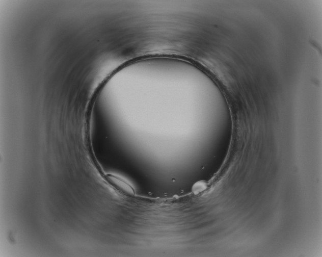 X0000097761277200803141715