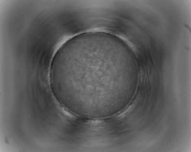 X0000097761278200803141715