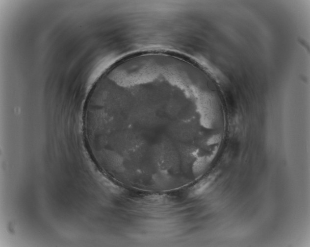 X0000097761279200803141715