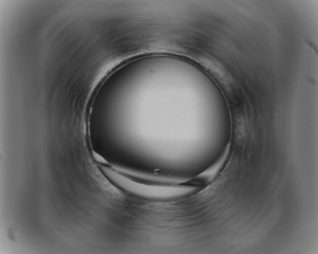 X0000097761280200803141715