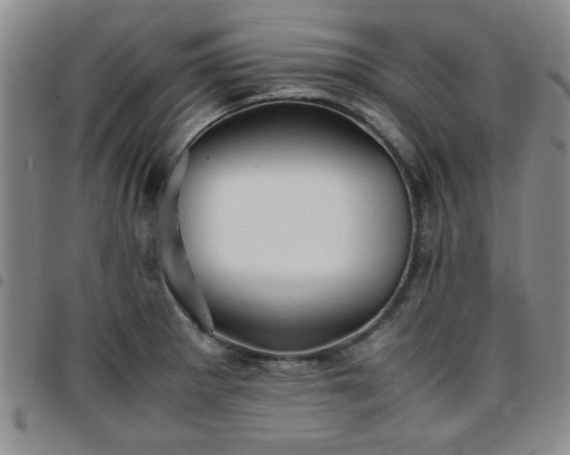 X0000097761281200803141715