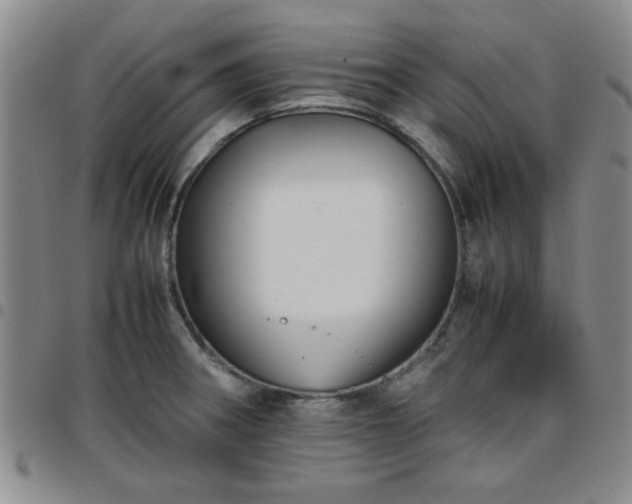 X0000097761282200803141715