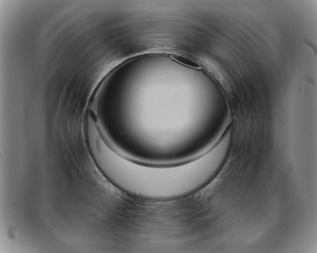 X0000097761284200803141715