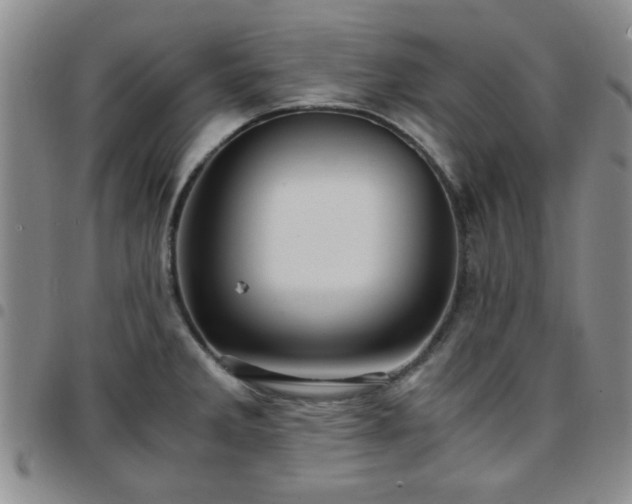 X0000097761285200803141715