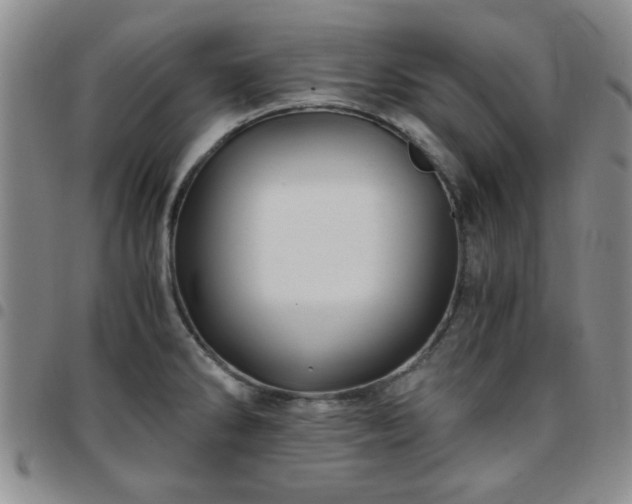 X0000097761286200803141715