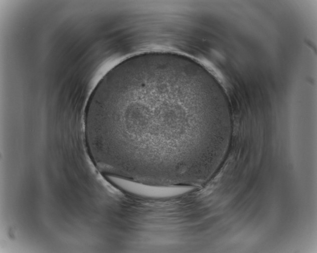 X0000097761287200803141715