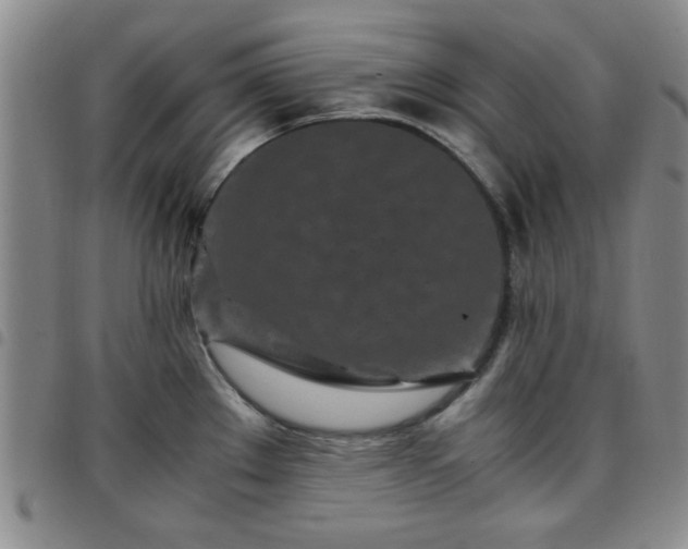 X0000097761289200803141715