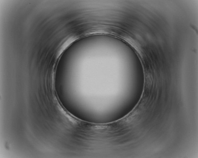 X0000097761290200803141715