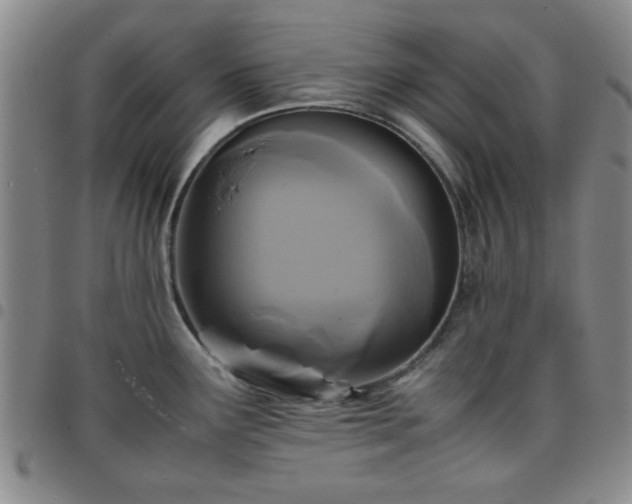 X0000097761291200803141715