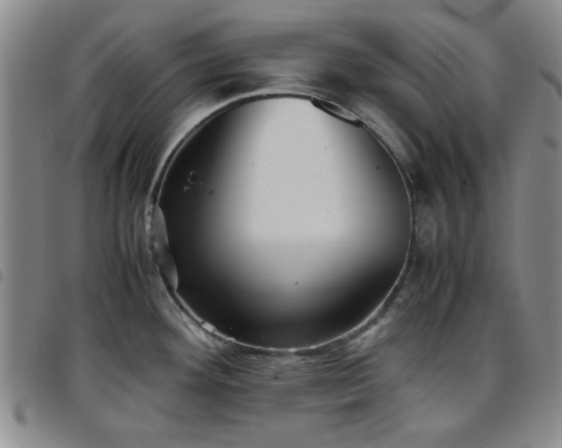 X0000097761292200803141715